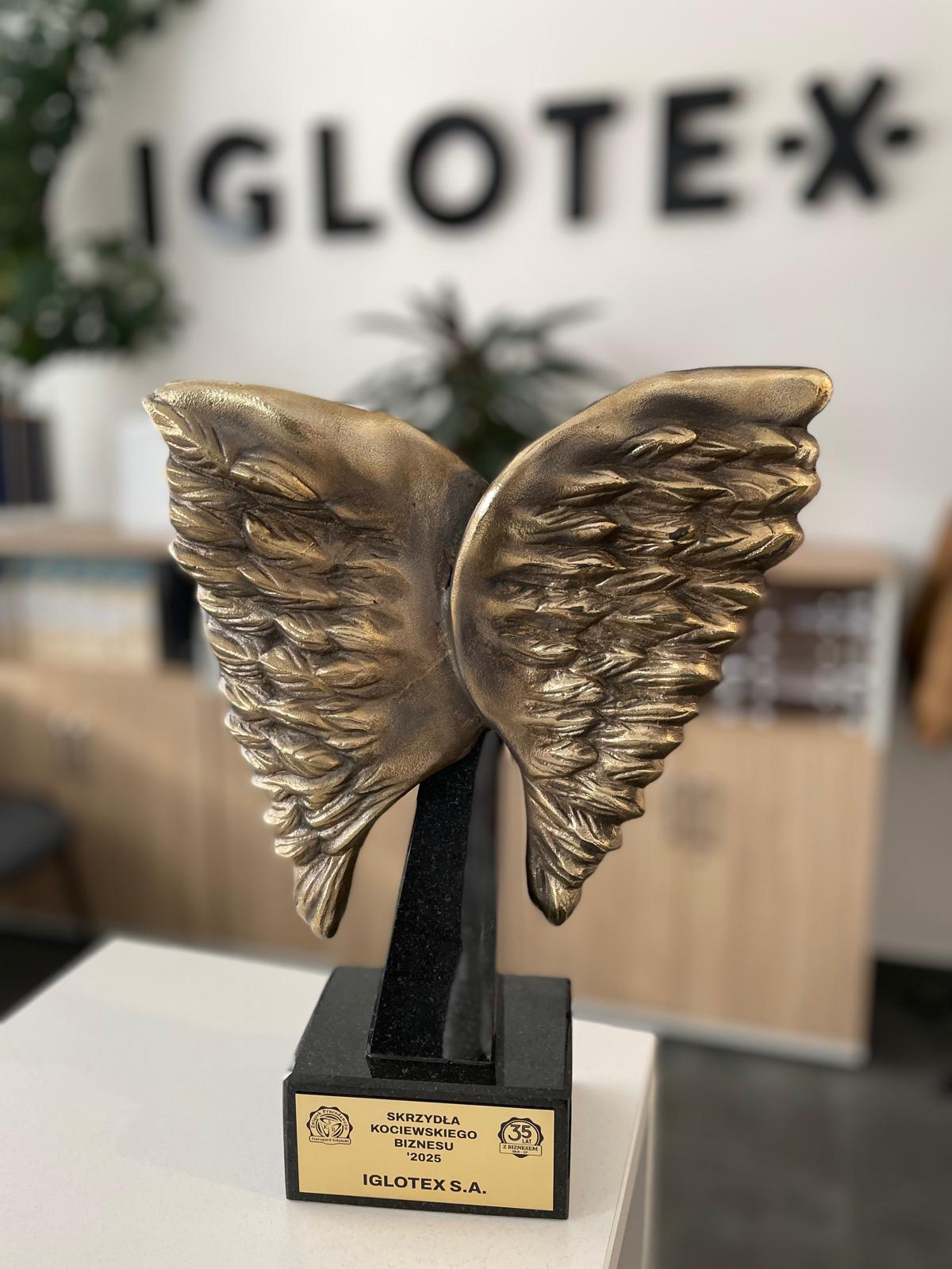 Skrzydła Kociewskiego Biznesu 2025 – prestiżowe wyróżnienie dla IGLOTEX S.A.