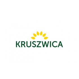 Kruszwica